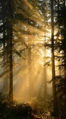 2025-11-21 at 12.41.31