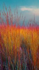 2025-11-21 at 12.41.52