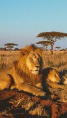 2025-11-21 at 12.42.25