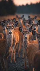 2025-11-21 at 12.42.40