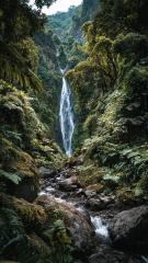 2025-11-21 at 12.43.09