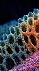 2025-12-03 at 14.17.37