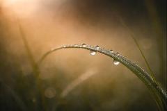 Jan 11, 2026, 12_55_25 PM.png